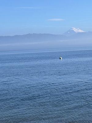 Mount Baker in the distance!