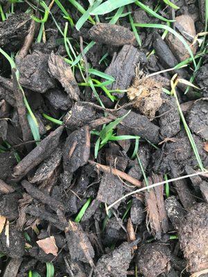 Close up of mulch in yard