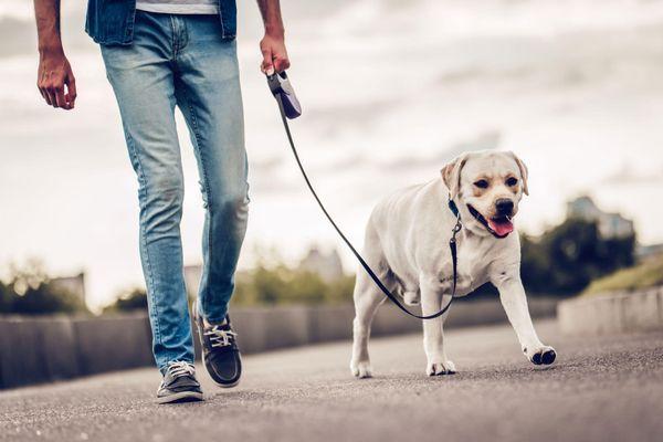 LIFESTYLE AMENITIES

Pet-Friendly Community
Two Light is a pet-friendly community, offering dog walking, grooming and away fr...