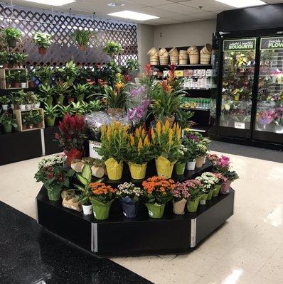 Fresh flowers and arrangements in the florist's department.