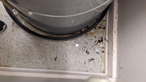 dirt on the utility closet