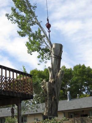 Big Horn Tree Service