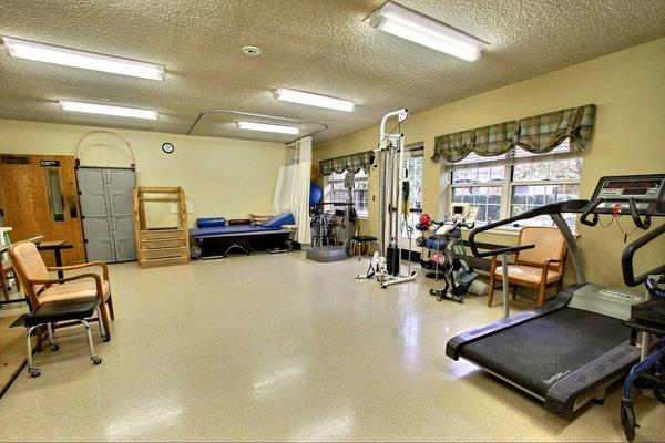 Rehab Therapy Gym