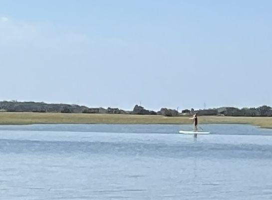 paddle boarder