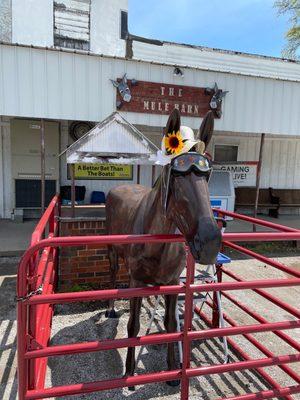 Iconic mule located out front.