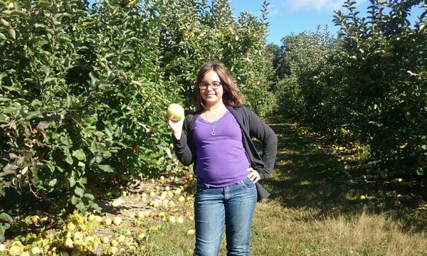 Picking's  perfect for apples today