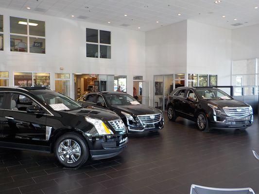 Cadillac Showroom