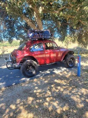 67 Vw baja bug