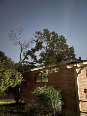 Tree laying on house