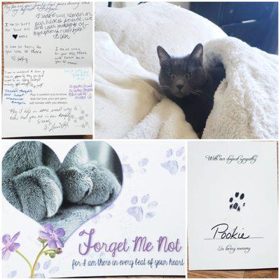 The card from Reagor , Pookie's paw print, and photo of my girl.