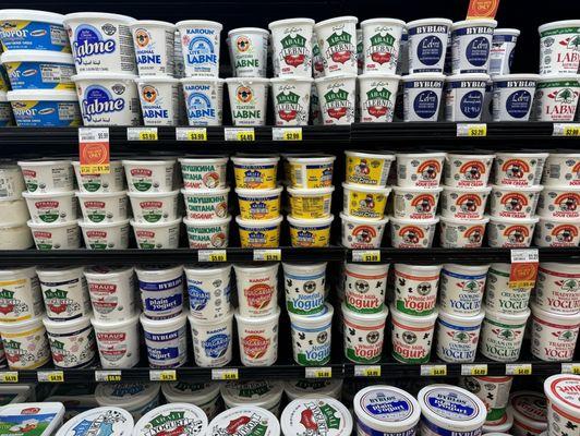 Different types of yogurt