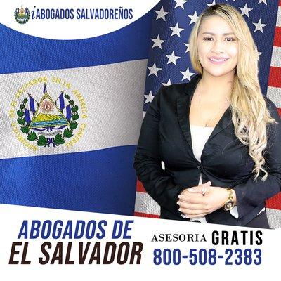 Salvadoran Lawyers and Notaries