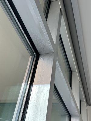 Our windows that collect water from the inside due to the cold temperature and lack of a seal.