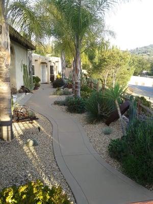 All Landscaping using shrubs and cactus purchased at Wally's World, El cajon, CA. Designed by Kathleen Lange