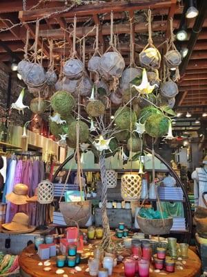 Such a gorgeous store! I'm from out of the state and its so so so good! Love the ambiance of this store!