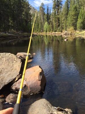 Cope's got me set up for backcountry fishing!!