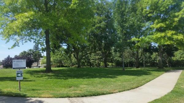 Paved walking path around park