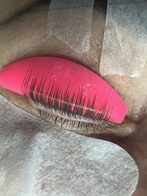 Lash lift wrapping.