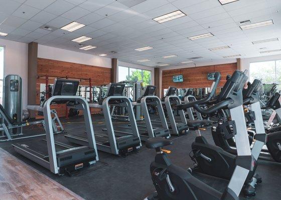 Multiple Cardio Equipment