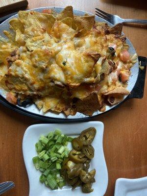 Nachos(we requested scallions & jalapeños on the side)