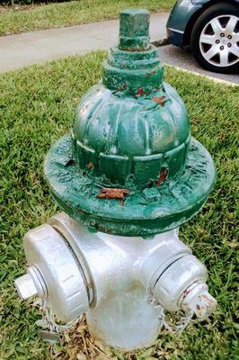 Old rusted Fire Hydrant Disrepair