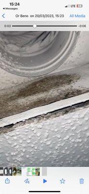 Mold removal