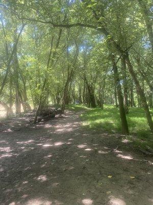 Small wooded trail