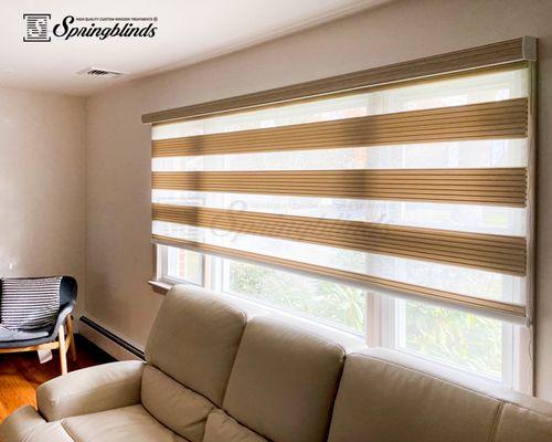 Zebra Premium Pleated Light Filtering Sheer Shades in Living Room - Mushroom