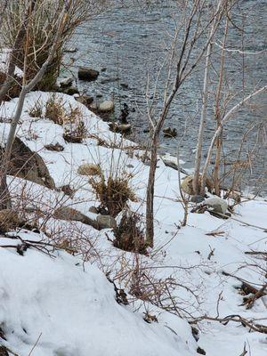 Truckee Riverwalk