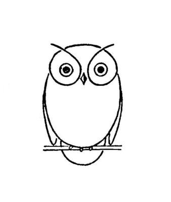 Our wise owl.