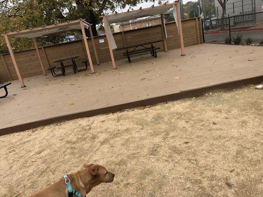 Gwynny loves food trucks!