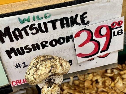 These just came in! Wild harvested Matsutake