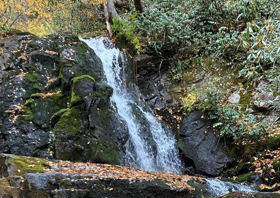 Laurel Falls Trailhead