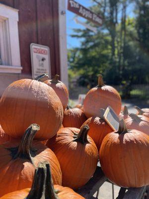 Pumpkins by our apple barn