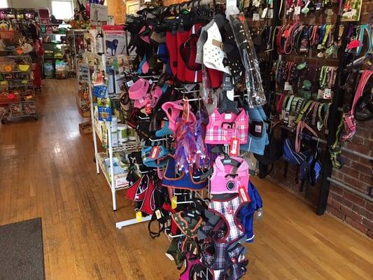 Largest Puppia harness collection in the area