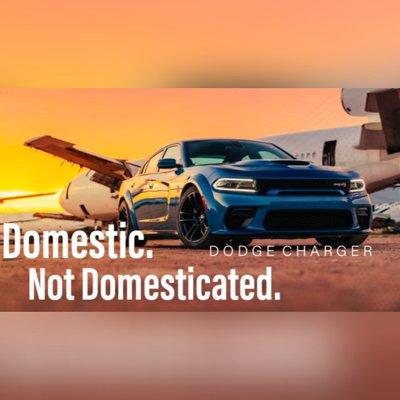 Domestic. Not Domesticated. Dodge.