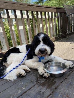 Ice water for our little guy!