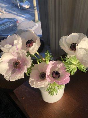 Anemones