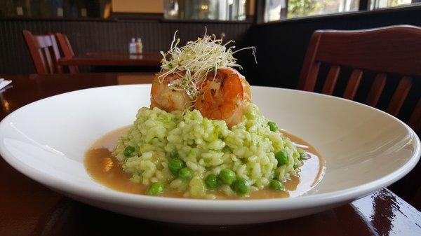 Shrimp Risotto