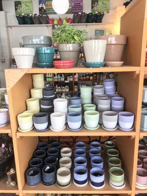 Lots of plant pots!