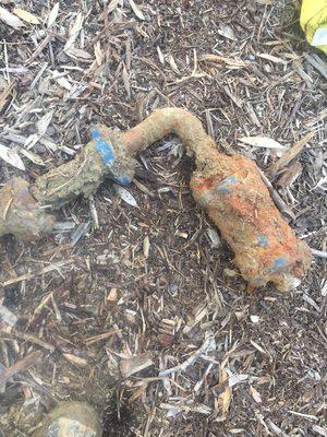 Plastic (blue) union on a copper water line, culprit to underground water leak