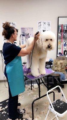 Pampered Pet Canine Center