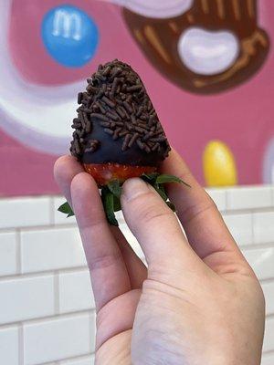 Chocolate Covered Strawberries