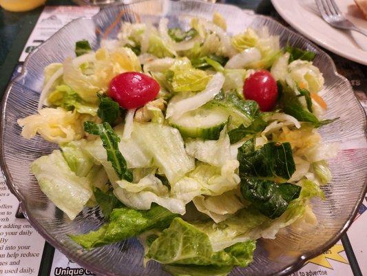 Garden Salad, house Italian dressing.