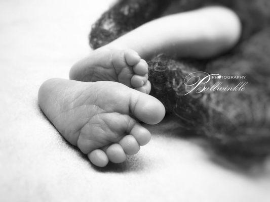 Newborn session