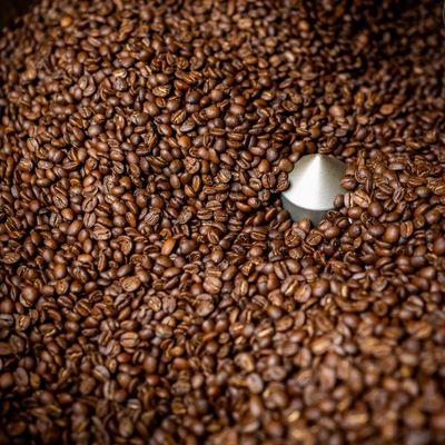 Fresh-roasted coffee in the cooling tray