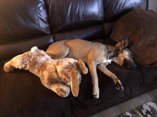 Sasha and her bunny!