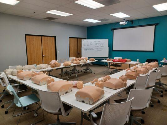 CPR and First Aid Training School