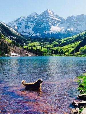 Aspen Maroon Bells