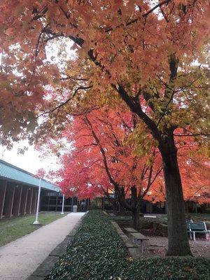 Outdoor courtyard